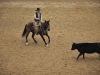 Martin Black - ranch cutting