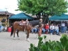 Sheila Varian - Vaquero Show and Sale - Santa Ynez