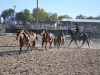 Madonna Inn Quarter Horses