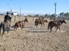 Madonna Inn Quarter Horses